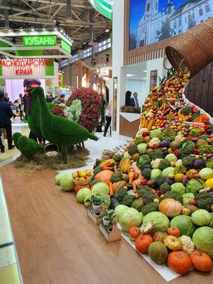 
	Компанія "ЕкоТанк" спільно з партнерами ознайомила учасників виставки "Золота Осінь", що проходить в рамках фестивалю, зі своїми модульними сталевими резервуарами для води.

	Учасникам виставки та гостям були роздані рекламні календарі на 2020 рік і каталоги з інформацією про можливості компанії "ЕкоТанк". Наші резервуари підходять для використання в сільському господарстві як:

	
		Ємності для питної і технічної води
	
		Склади зберігання КАС, резервуари і ємності для рідких добрив
	
		Ємності для поливу теплиць
	
		Ємності для розведення риби
	
		Ємності для патоки


	&nbsp;

	&nbsp;&nbsp;

	
		&nbsp;


	
		&nbsp;


	
		&nbsp;

